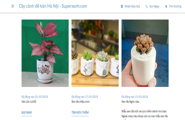 thiết kế website bán cây xanh để bàn